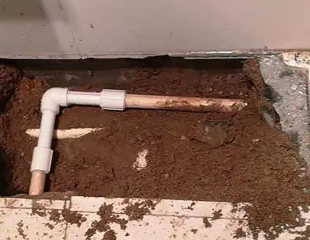 荣昌测漏水哪家好