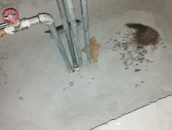 荣昌卫生间测漏水价格明细