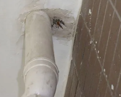 荣昌漏水检测哪家好